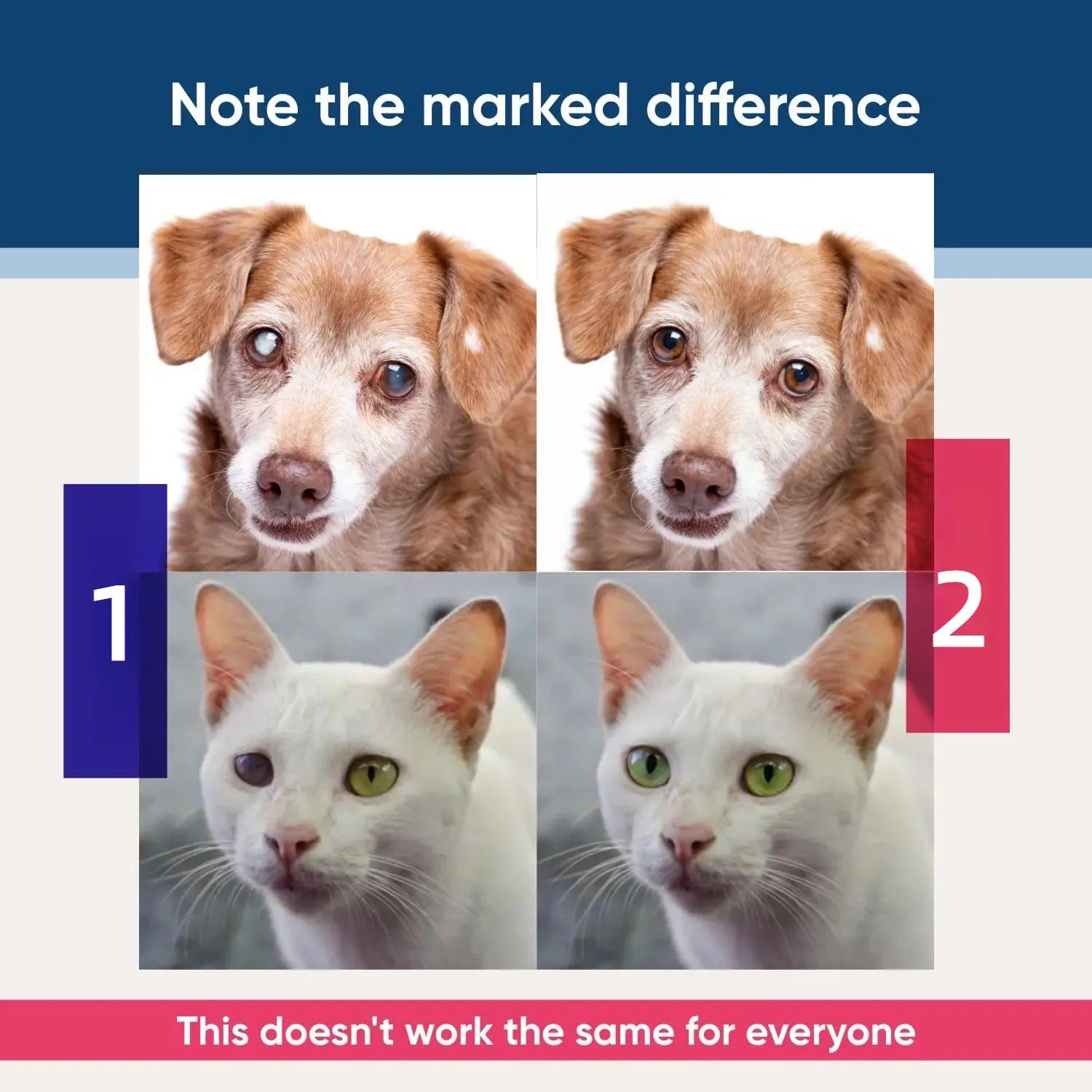 Ultimate Dog & Cat Eye Care Drops – Soothe Infections, Allergies, Dry Eyes & Pink Eye – Tear Stain Cleaner & Eye Rinse for Happy, Healthy Pets