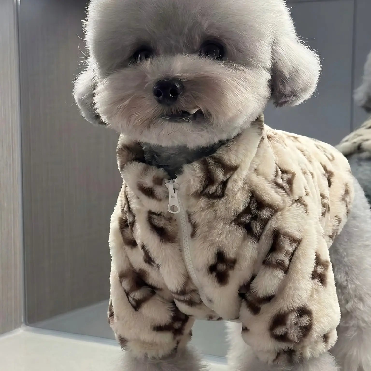 Chic Monogram Faux Fur Dog Coat - Stylish Designer Jacket for Small Dogs & Puppies